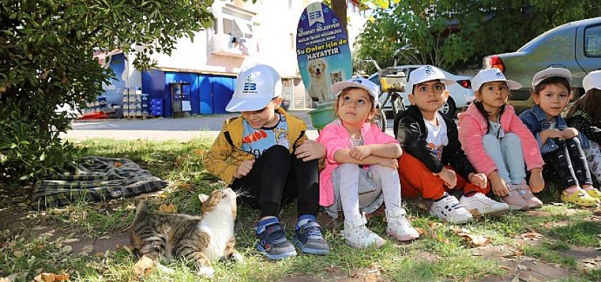 Sokak hayvanları Koruma gününde kedi evleri dağıtıldı